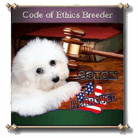 Coton de Tulear Puppies Indiana