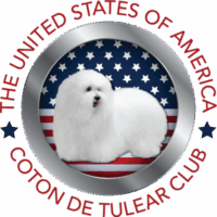 Coton de Tulear Puppies Indiana