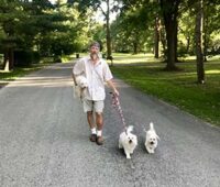 Coton de Tulear Puppies Indiana