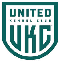 Coton de Tulear Puppies Indiana