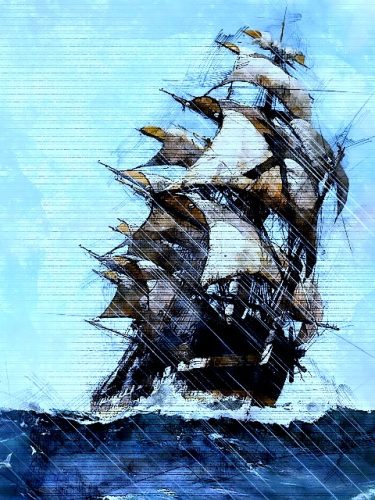 Coton de Tulear Puppies Indiana